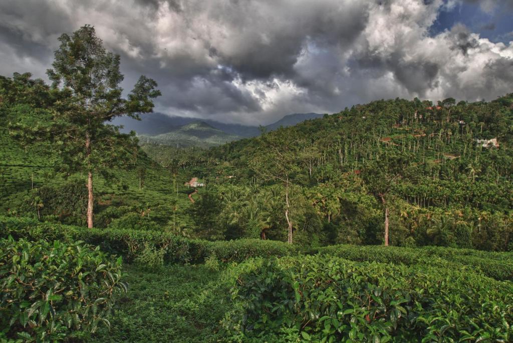 The Windflower Resort & Spa, Vythiri Wayanad Exterior foto